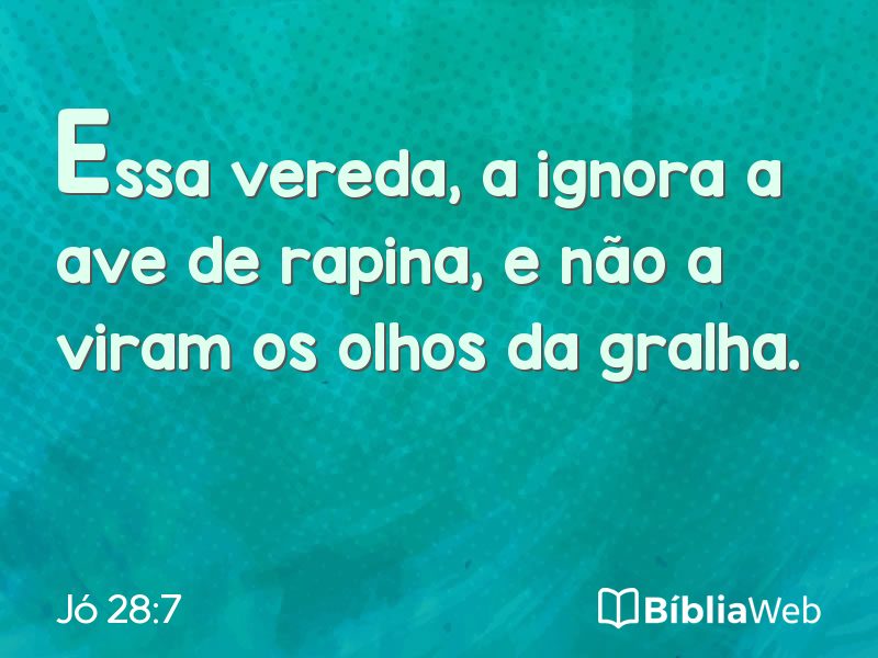 Jó 28:7 em imagem para compartilhar