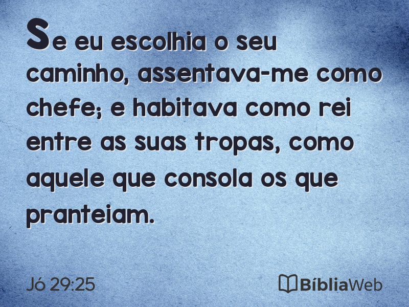 Jó 29:25 em imagem para compartilhar