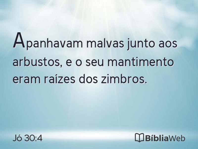 Jó 30:4 em imagem para compartilhar