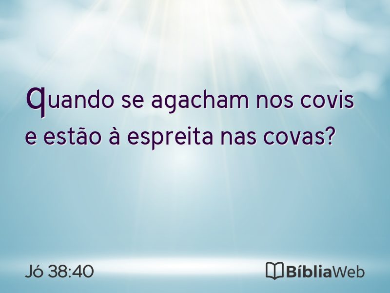 Jó 38:40 em imagem para compartilhar