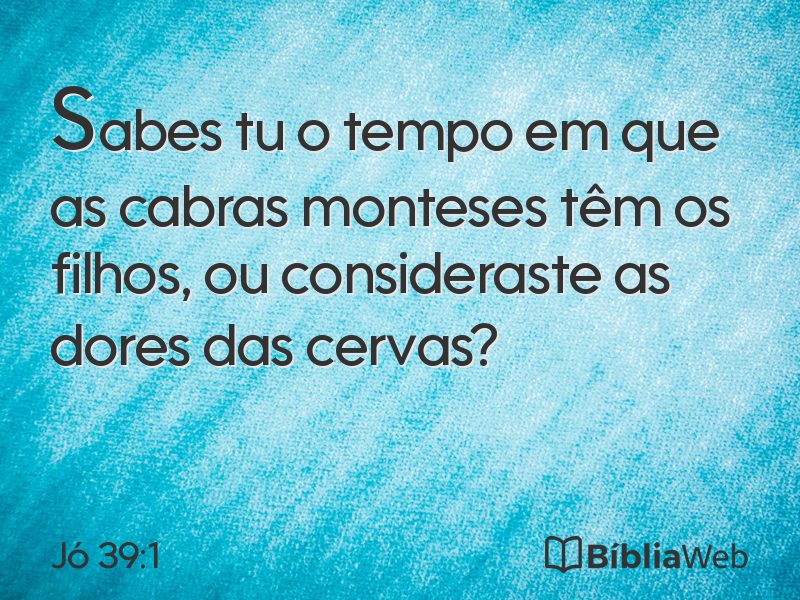 Jó 39:1 em imagem para compartilhar