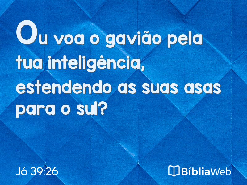 Jó 39:26 em imagem para compartilhar