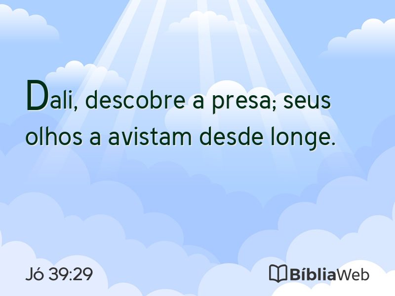 Jó 39:29 em imagem para compartilhar