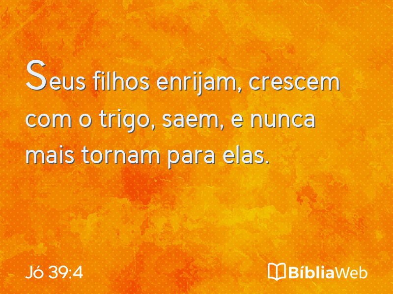 Jó 39:4 em imagem para compartilhar
