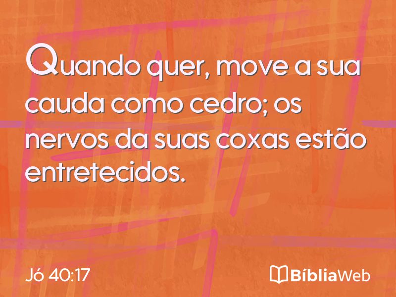 Jó 40:17 em imagem para compartilhar