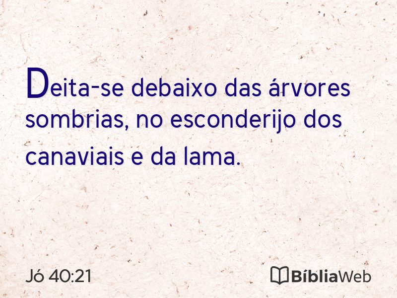 Jó 40:21 em imagem para compartilhar
