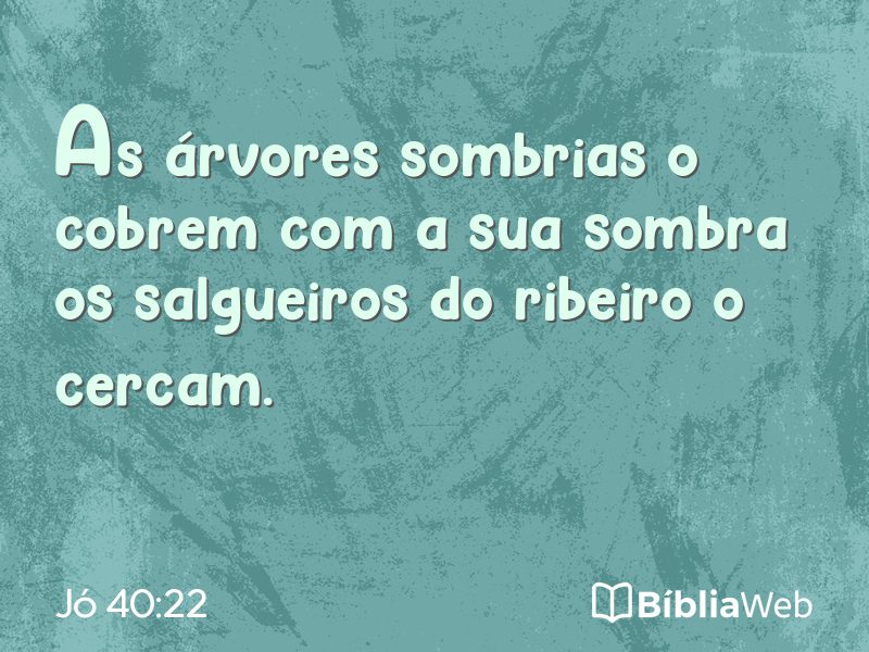 Jó 40:22 em imagem para compartilhar