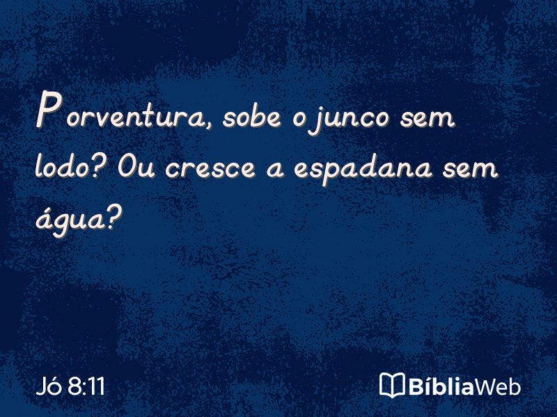Jó 8:11 em imagem para compartilhar