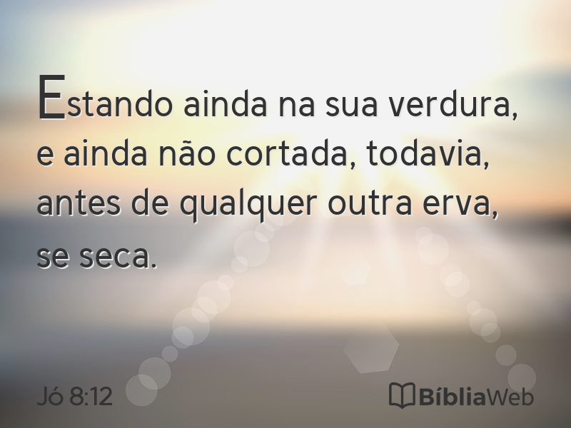 Jó 8:12 em imagem para compartilhar