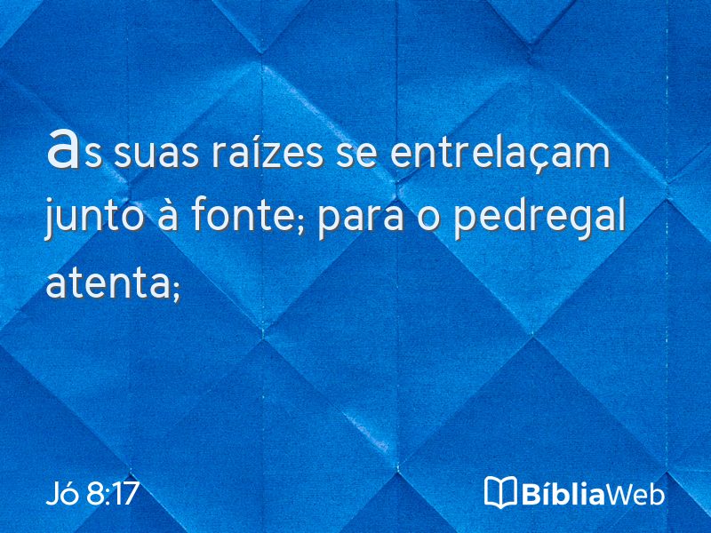 Jó 8:17 em imagem para compartilhar