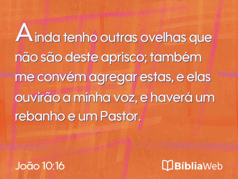 João 10:16 em imagem para compartilhar