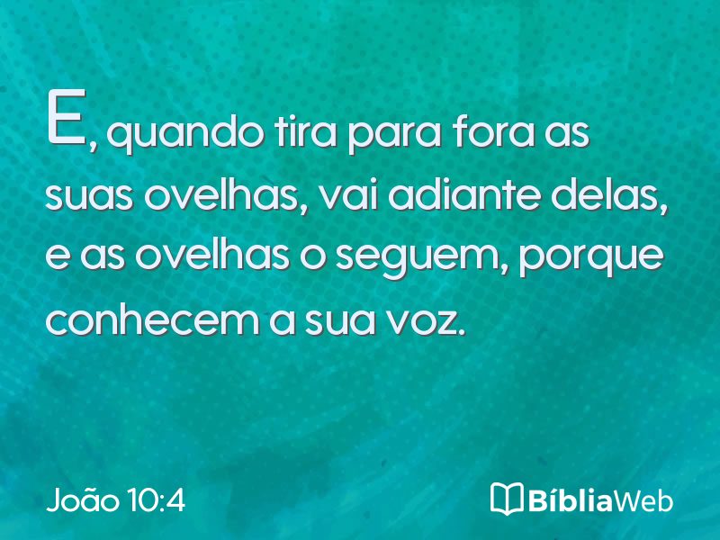 João 10:4 em imagem para compartilhar