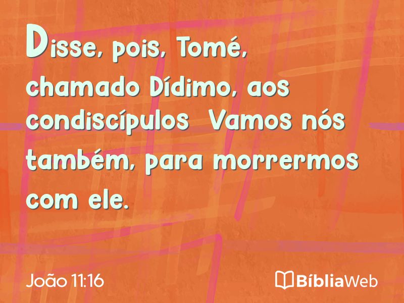 João 11:16 em imagem para compartilhar