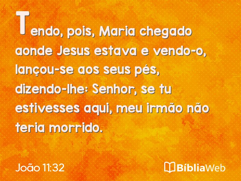 João 11:32 em imagem para compartilhar