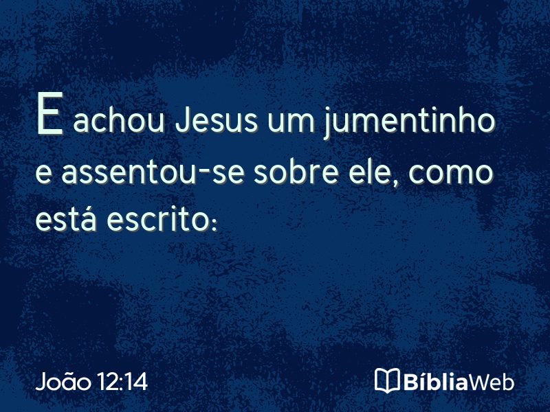 João 12:14 em imagem para compartilhar