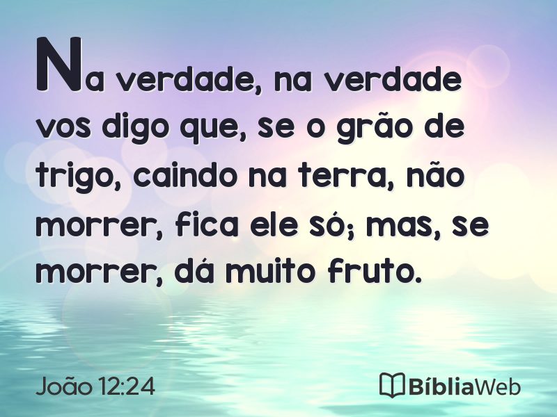 João 12:24 em imagem para compartilhar