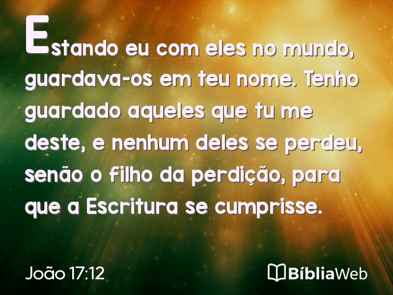 João 17:12 em imagem para compartilhar