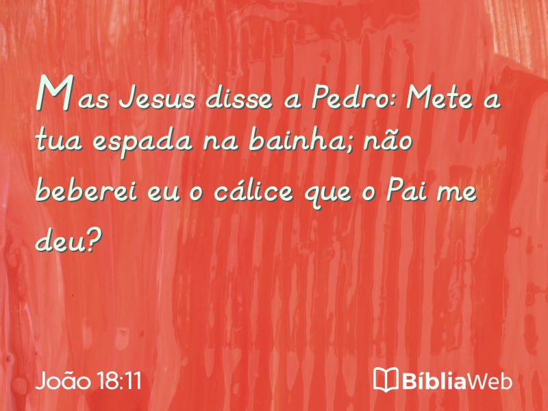 João 18:11 em imagem para compartilhar