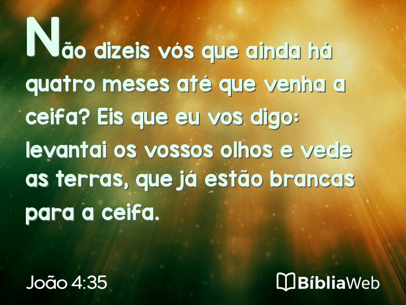 João 4:35 em imagem para compartilhar