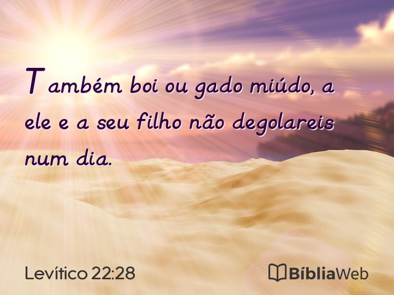 Levítico 22:28 em imagem para compartilhar