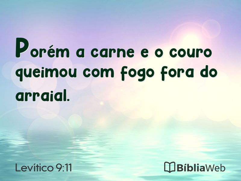 Levítico 9:11 em imagem para compartilhar