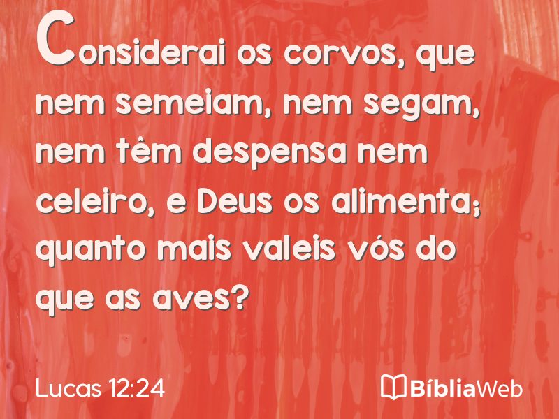 Lucas 12:24 em imagem para compartilhar
