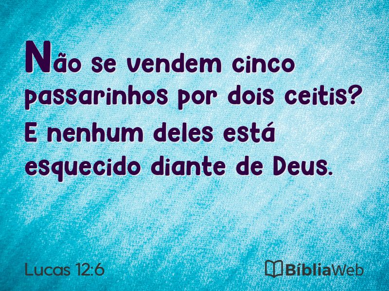 Lucas 12:6 em imagem para compartilhar