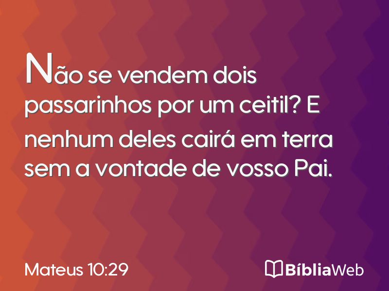 Mateus 10:29 em imagem para compartilhar