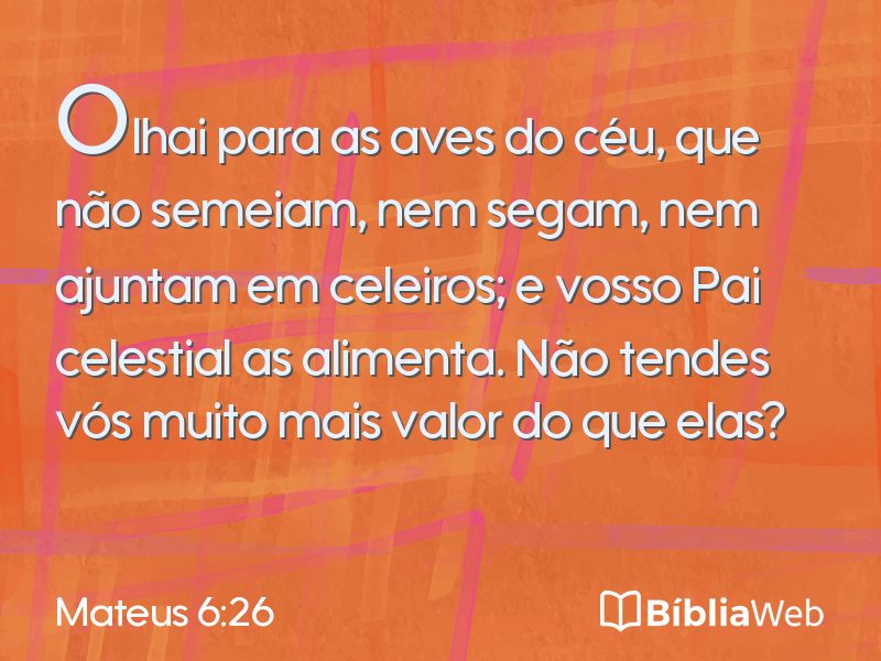 Mateus 6:26 em imagem para compartilhar