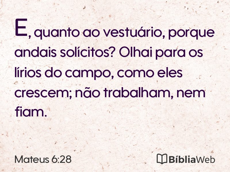 Mateus 6:28 em imagem para compartilhar