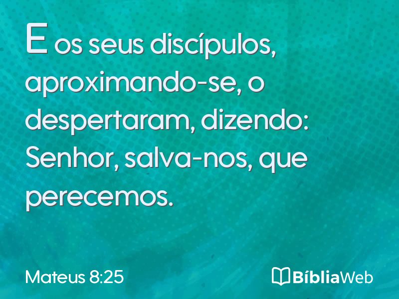 Mateus 8:25 em imagem para compartilhar