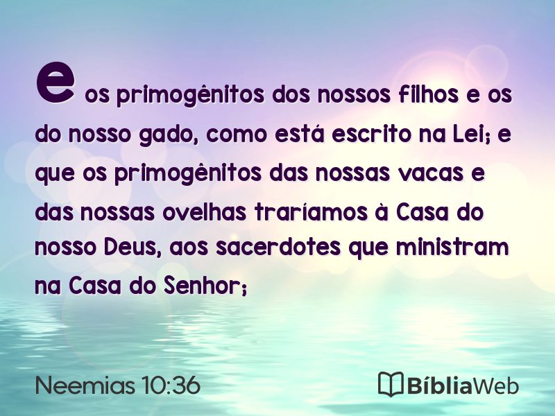 Neemias 10:36 em imagem para compartilhar