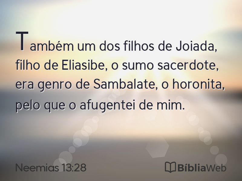 Neemias 13:28 em imagem para compartilhar