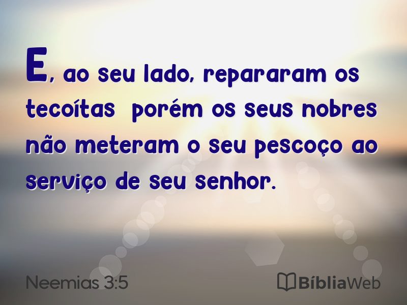 Neemias 3:5 em imagem para compartilhar