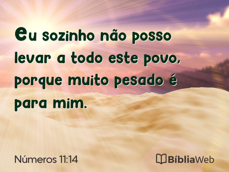 Números 11:14 em imagem para compartilhar