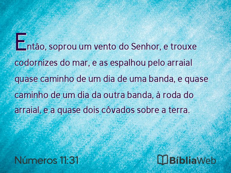 Números 11:31 em imagem para compartilhar