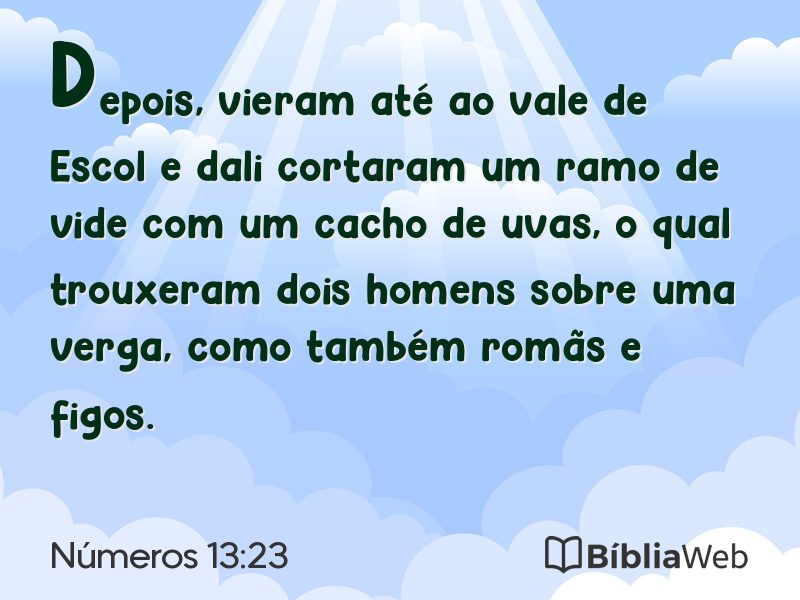 Números 13:23 em imagem para compartilhar