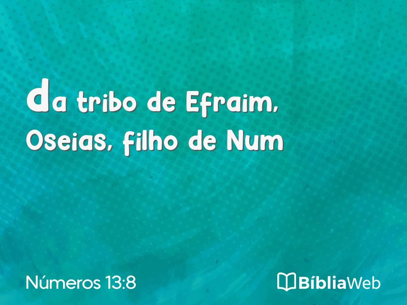 Números 13:8 em imagem para compartilhar