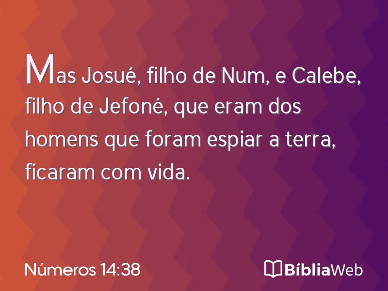 Números 14:38 em imagem para compartilhar