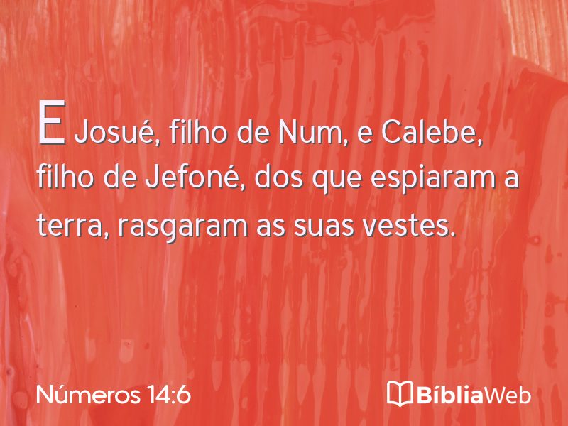 Números 14:6 em imagem para compartilhar