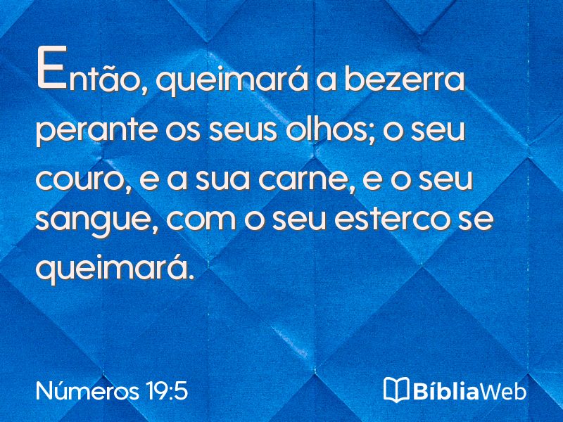 Números 19:5 em imagem para compartilhar