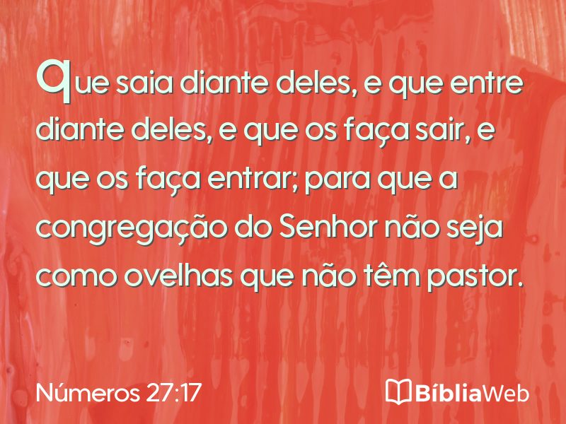 Números 27:17 em imagem para compartilhar