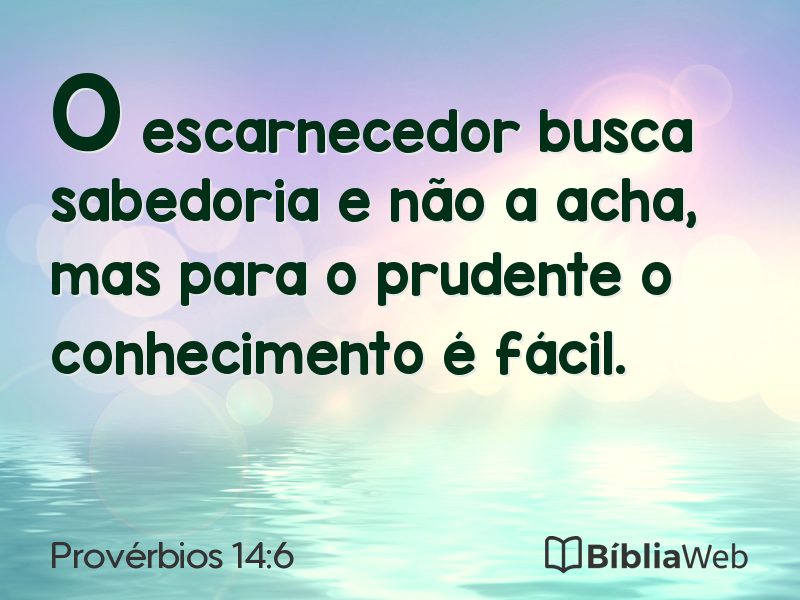 Provérbios 14:6 em imagem para compartilhar