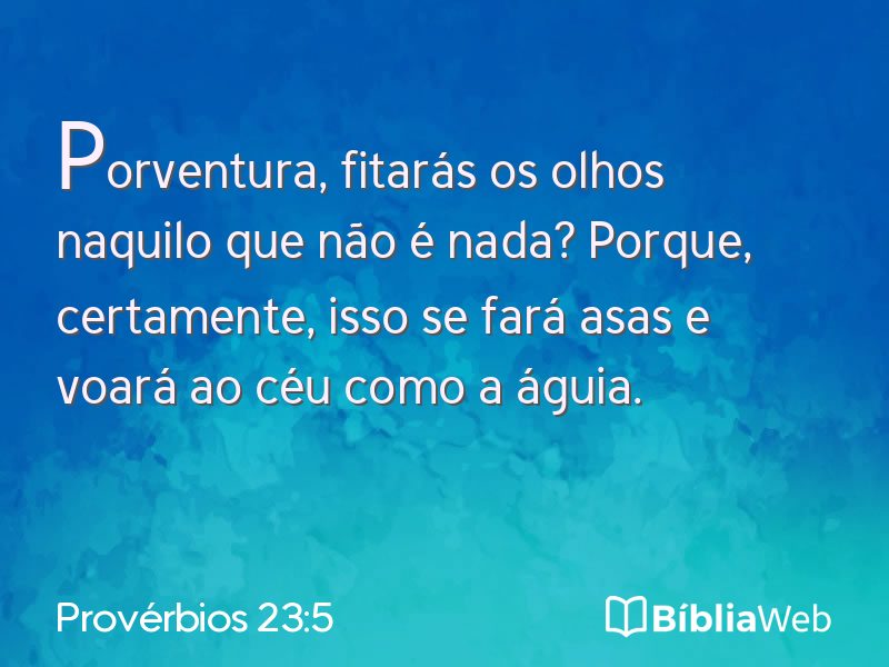 Provérbios 23:5 em imagem para compartilhar