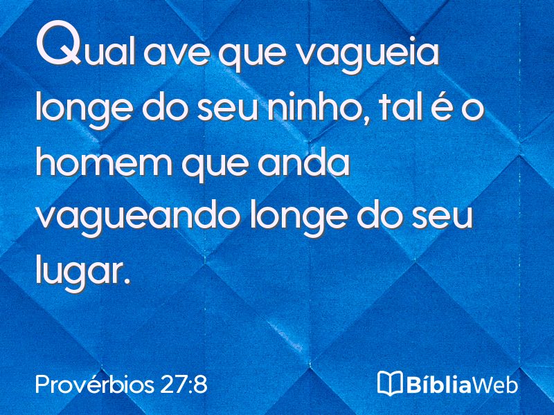 Provérbios 27:8 em imagem para compartilhar