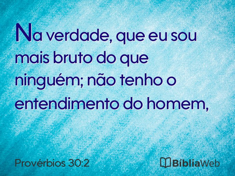 Provérbios 30:2 em imagem para compartilhar