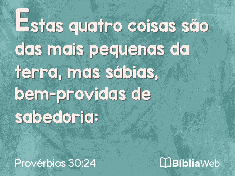 Provérbios 30:24 em imagem para compartilhar