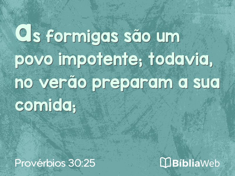 Provérbios 30:25 em imagem para compartilhar