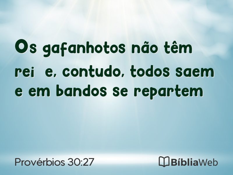 Provérbios 30:27 em imagem para compartilhar