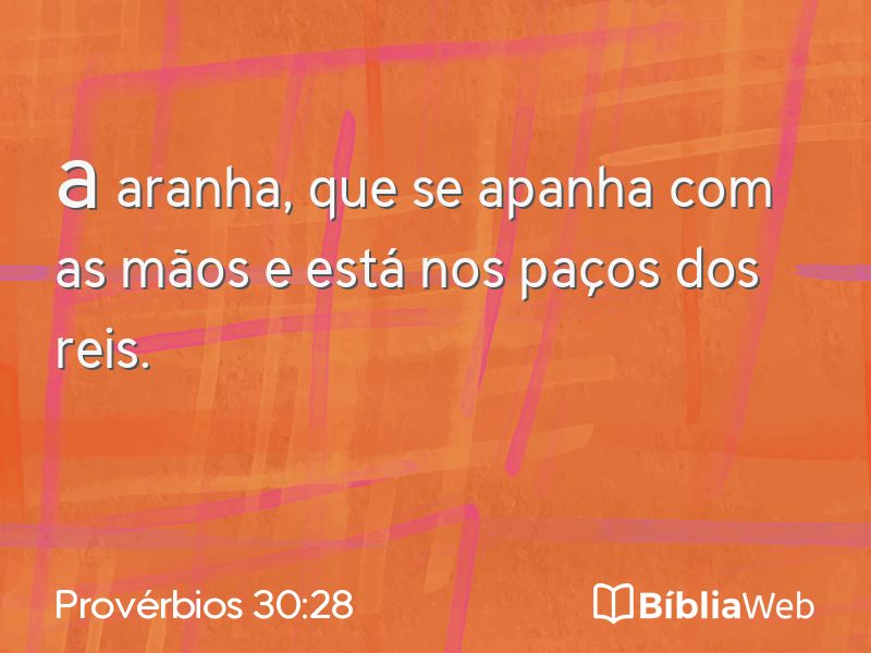 Provérbios 30:28 em imagem para compartilhar